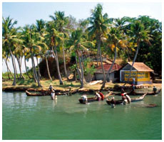 Backwater Tour, Alleppey