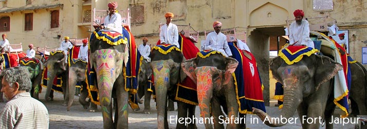 Jaipur Elephant Safari, Tour Rajasthan